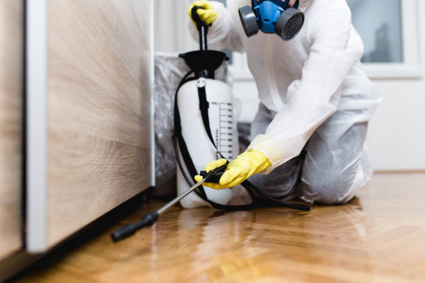 Best Insect Control  in East Rockingham, NC