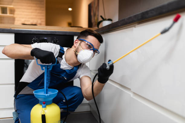 Best Residential Pest Control  in East Rockingham, NC