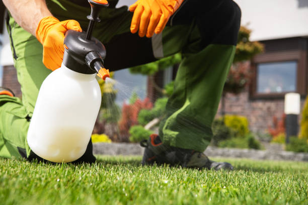 Pest Prevention Services in East Rockingham, NC