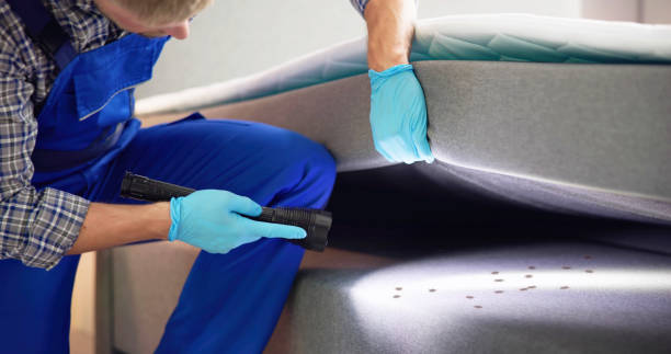 Best Pest Removal Services  in East Rockingham, NC